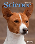 Science studio sui cani